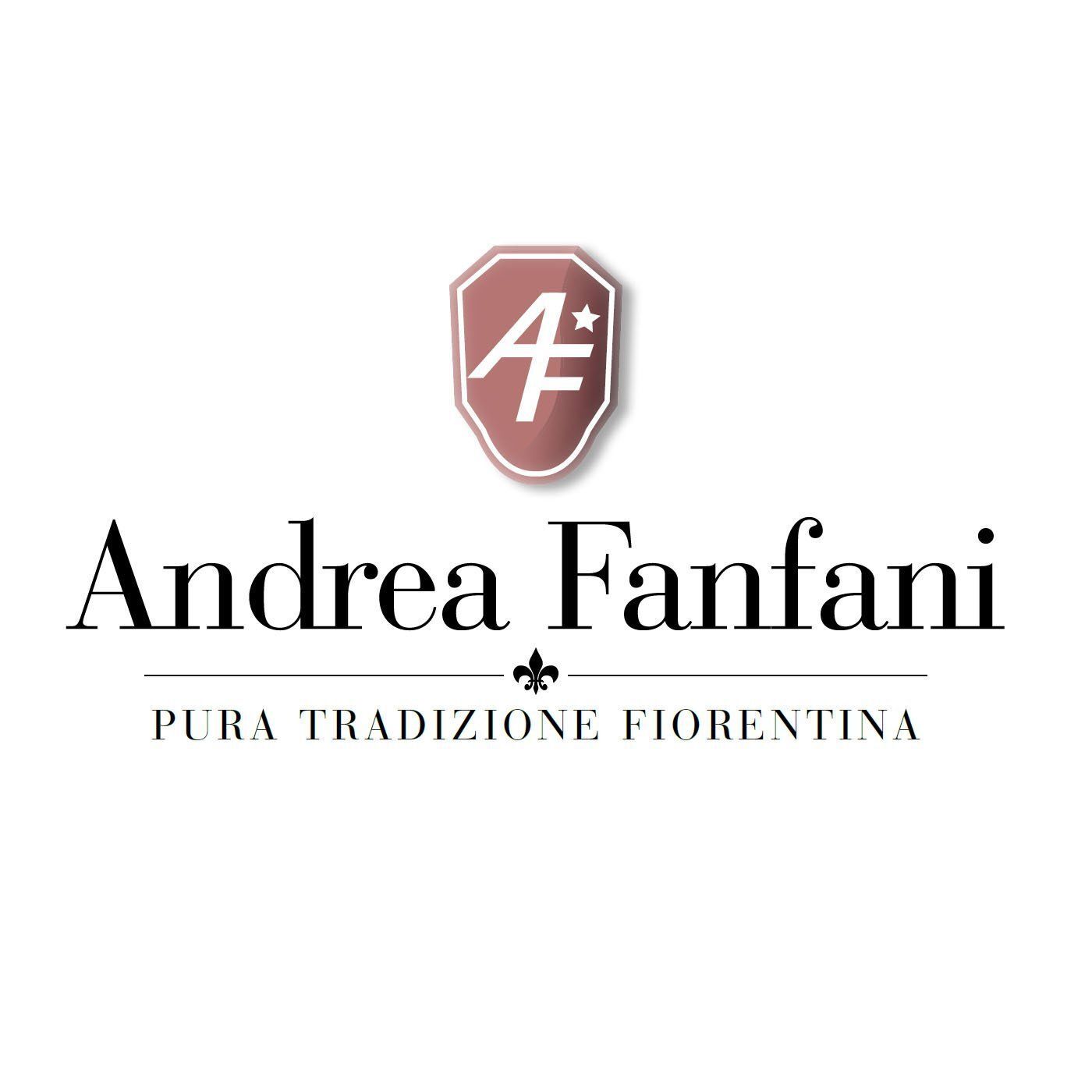 ANDREA FANFANI
