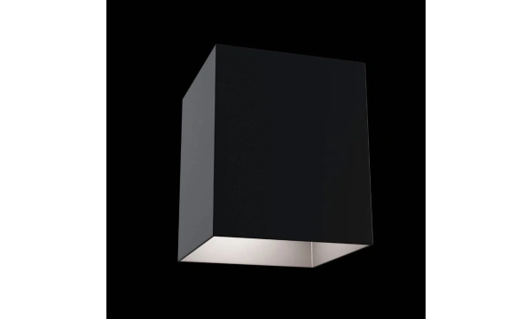 Потолочный Светильник Technical C015Cl-01B