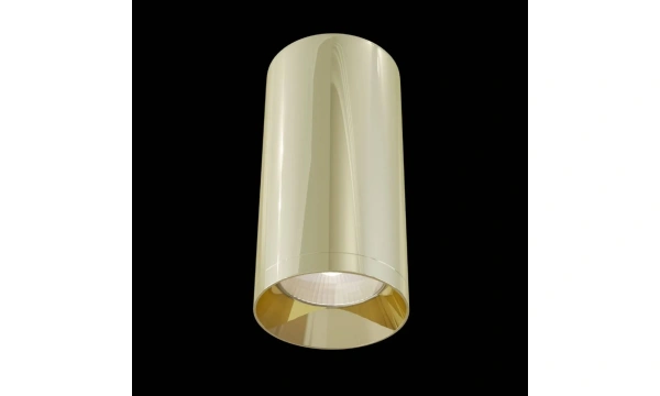 Потолочный Светильник Technical C010Cl-01G
