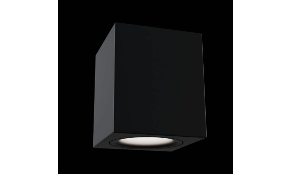 Потолочный Светильник Technical C013Cl-01B