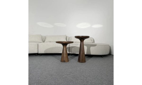 Кофейный столик низкий Homage Wood