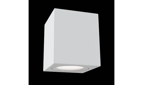 Потолочный Светильник Technical C013Cl-01W