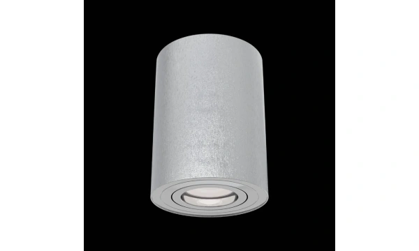 Потолочный Светильник Technical C016Cl-01S